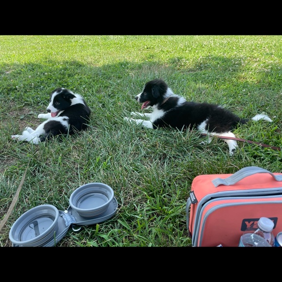 Meet your Posher, Magen - Picture 7 of 8